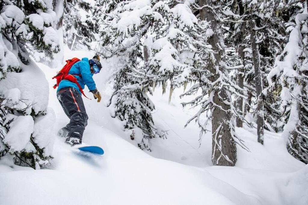 Ski In Ski Out With Huge Game Room And Hot Tub เฟอร์นี ภายนอก รูปภาพ